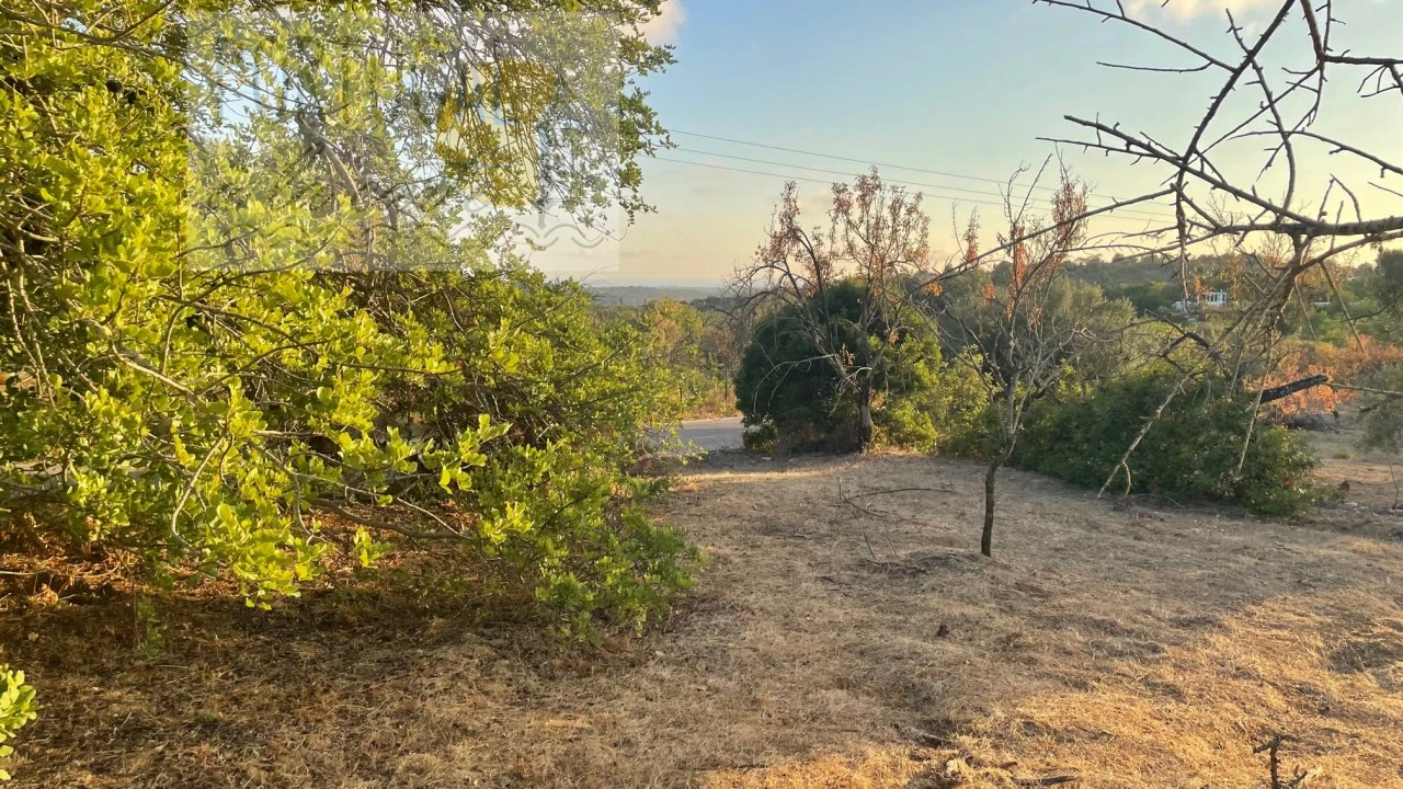 Terreno Misto para Venda em Loule (São Sebastião) Foto 1