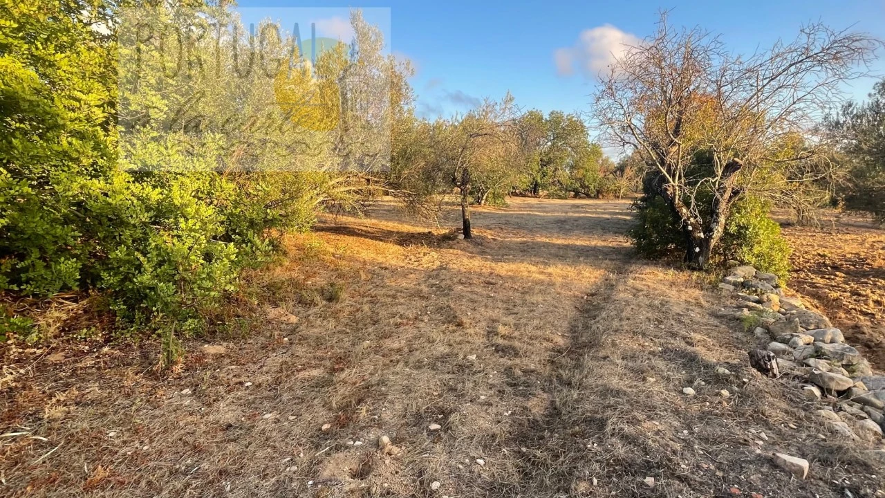 Terreno Misto para Venda em Loule (São Sebastião) Foto 5