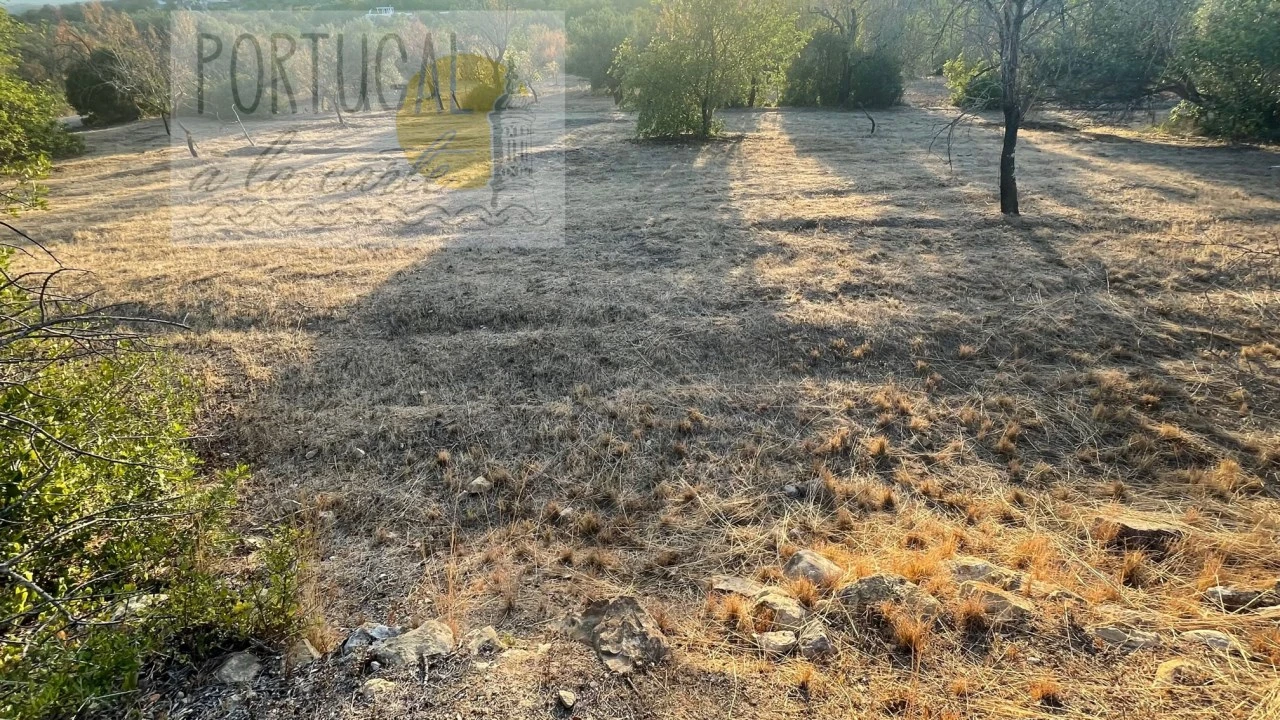 Terreno Misto para Venda em Loule (São Sebastião) Foto 7