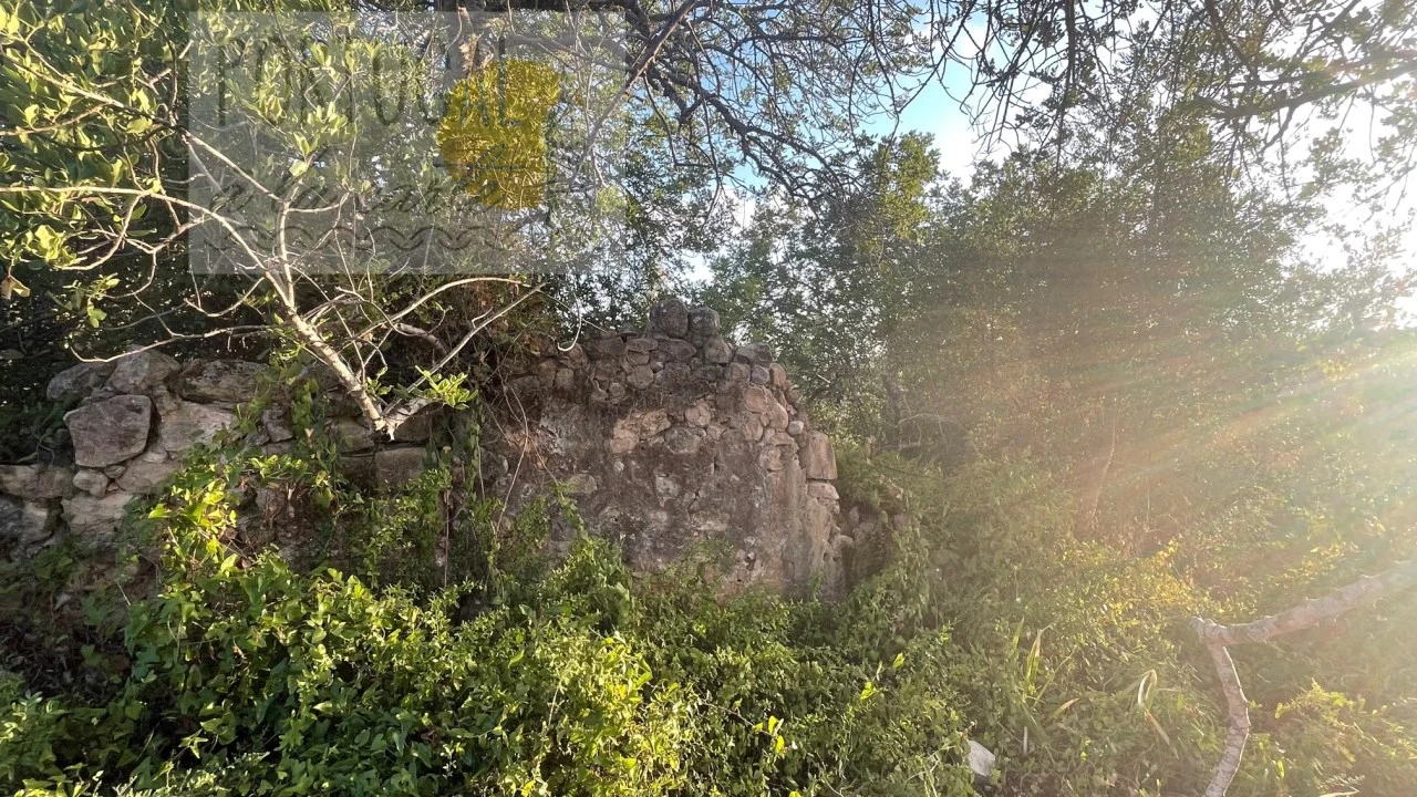 Terreno Misto para Venda em Loule (São Sebastião) Foto 8