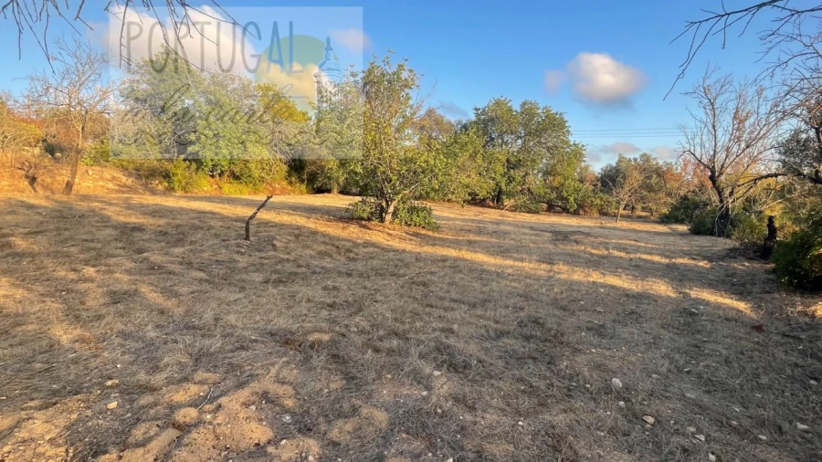 Terreno Misto para Venda em Loule (São Sebastião) Foto 2