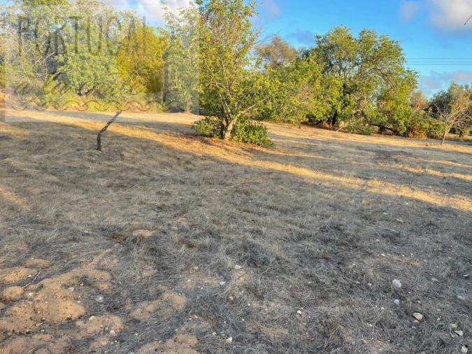 Terreno Misto para Venda em Loule (São Sebastião) Foto 3
