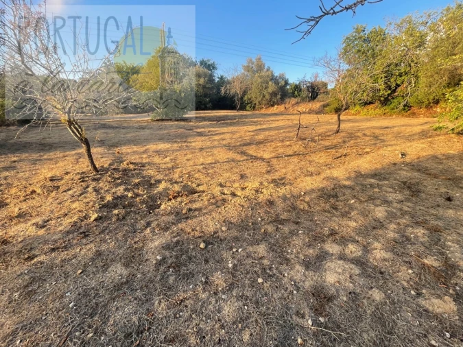 Terreno Misto para Venda em Loule (São Sebastião) Foto 4