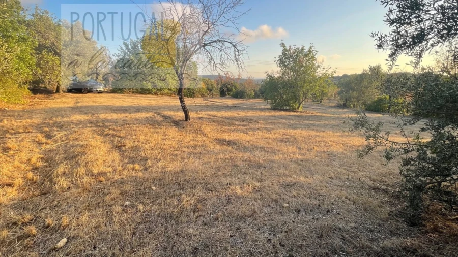 Terreno Misto para Venda em Loule (São Sebastião) Foto 6