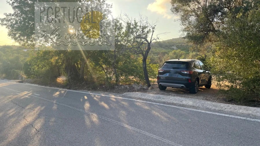 Terreno Misto para Venda em Loule (São Sebastião) Foto 9