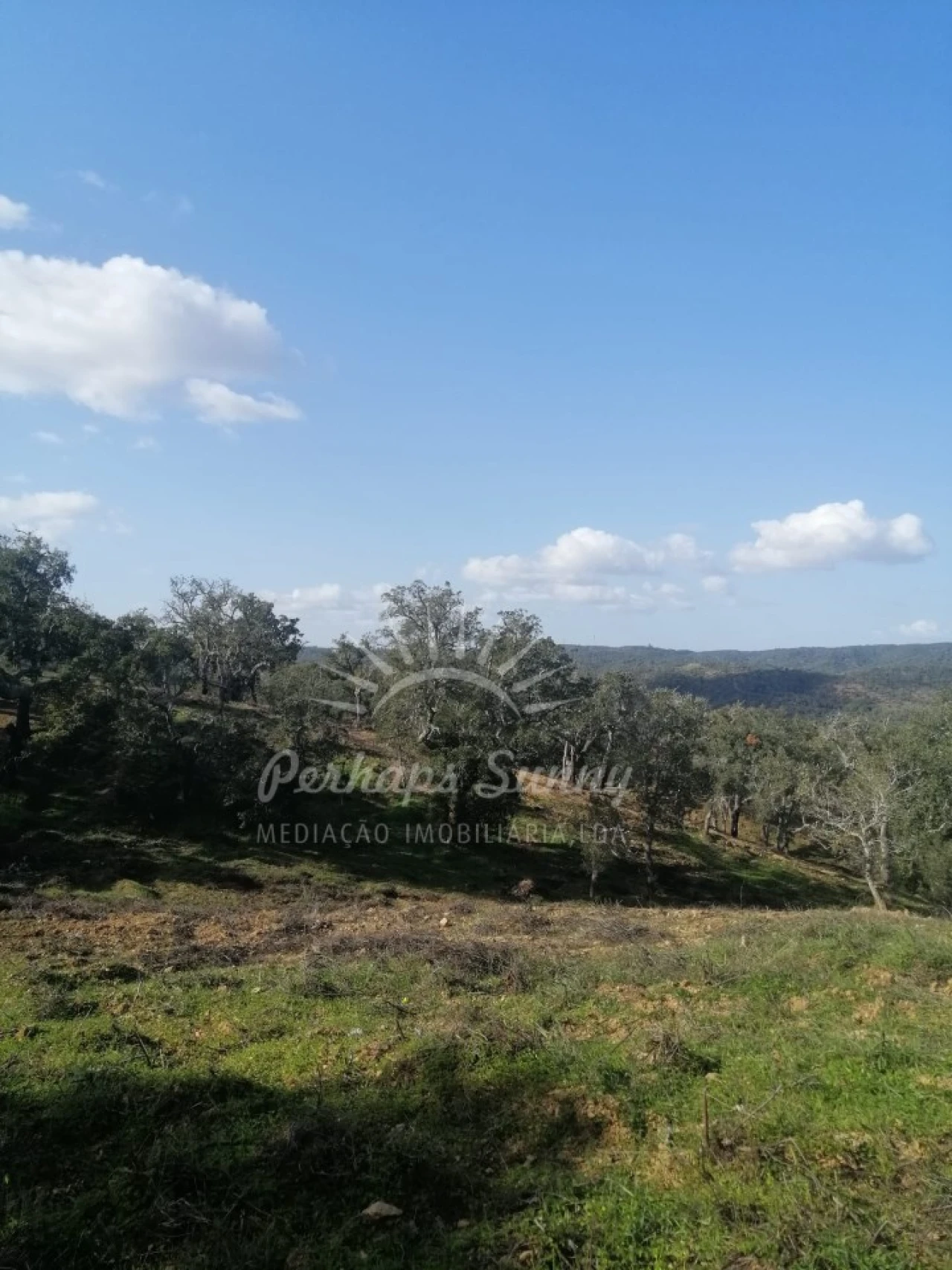 Terreno Agricola ou Rústico para Venda em Grândola e Santa Margarida da Serra Foto 1