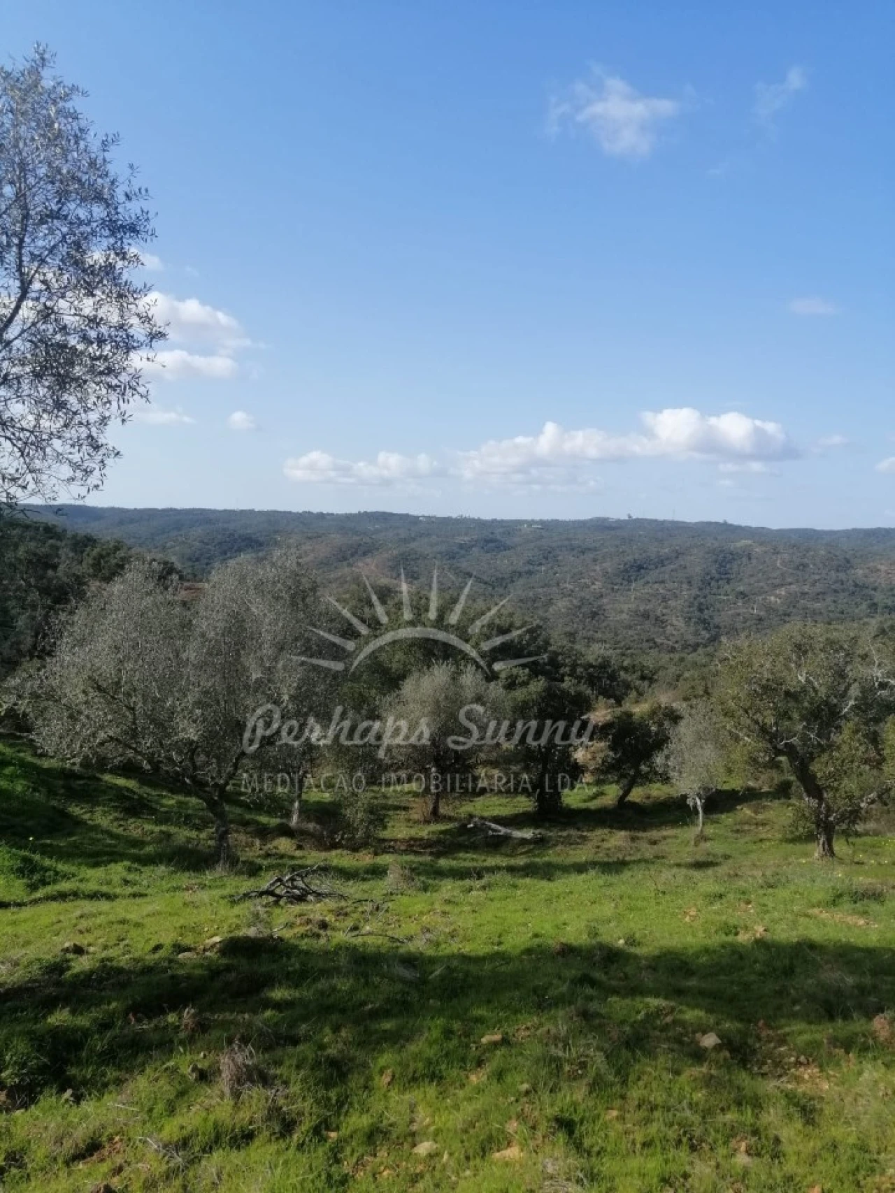 Terreno Agricola ou Rústico para Venda em Grândola e Santa Margarida da Serra Foto 2