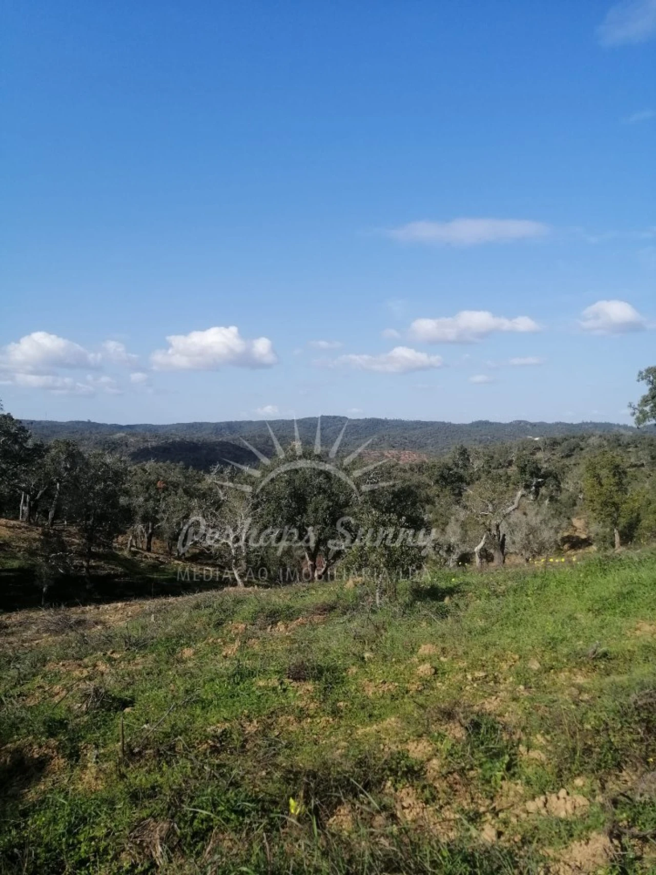Terreno Agricola ou Rústico para Venda em Grândola e Santa Margarida da Serra Foto 3