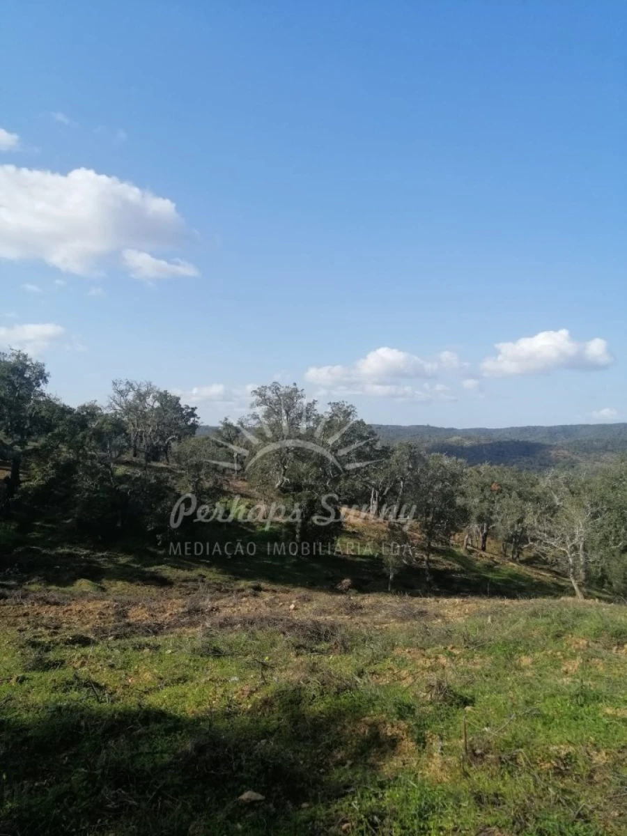 Terreno Agricola ou Rústico para Venda em Grândola e Santa Margarida da Serra Foto 1