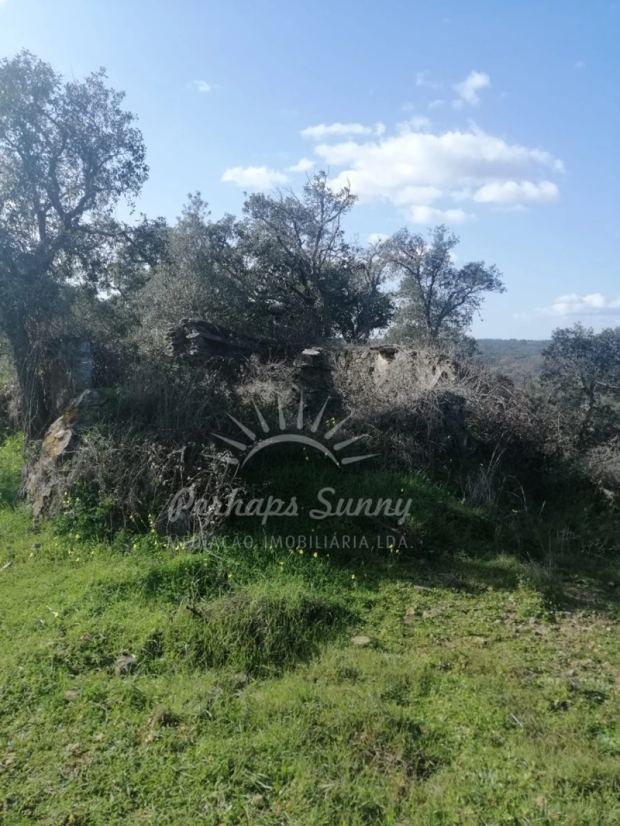 Terreno Agricola ou Rústico para Venda em Grândola e Santa Margarida da Serra Foto 8