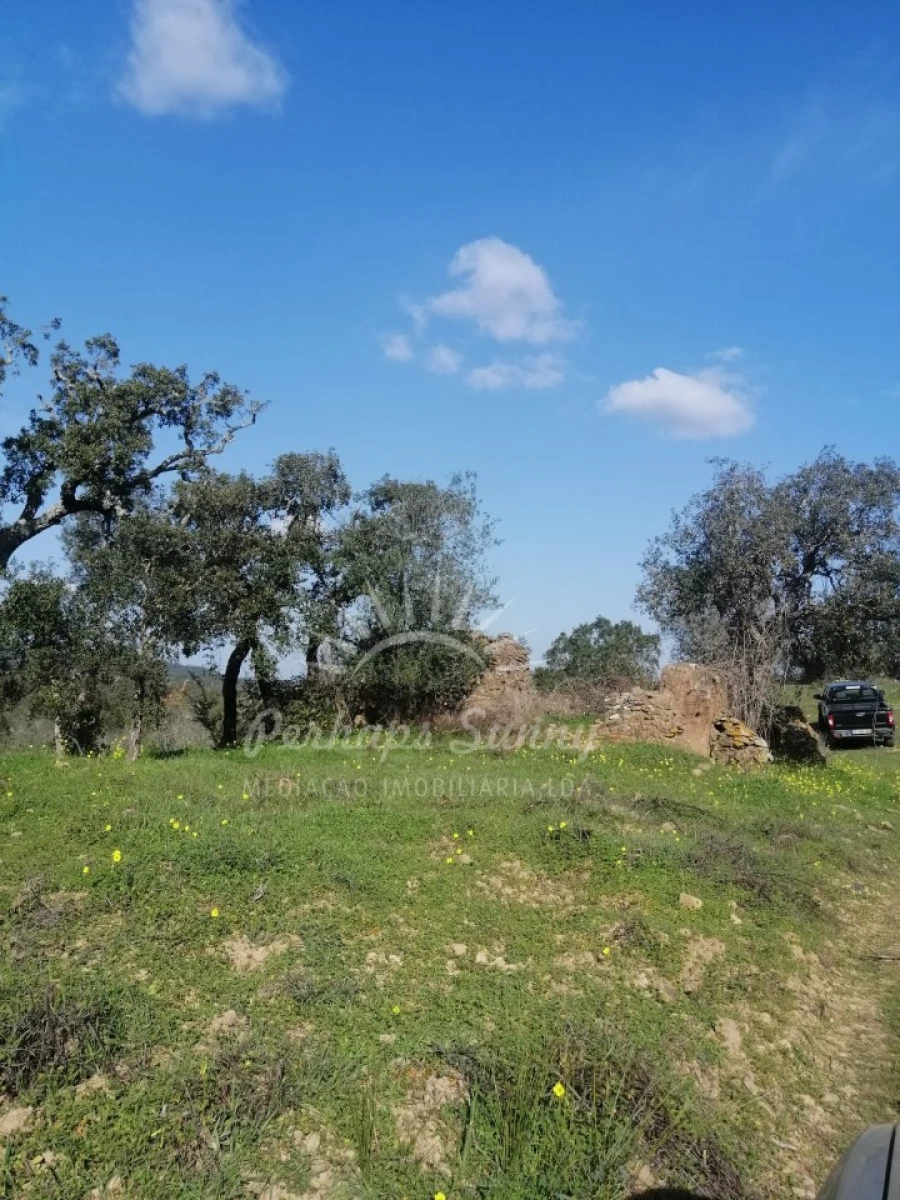 Terreno Agricola ou Rústico para Venda em Grândola e Santa Margarida da Serra Foto 4