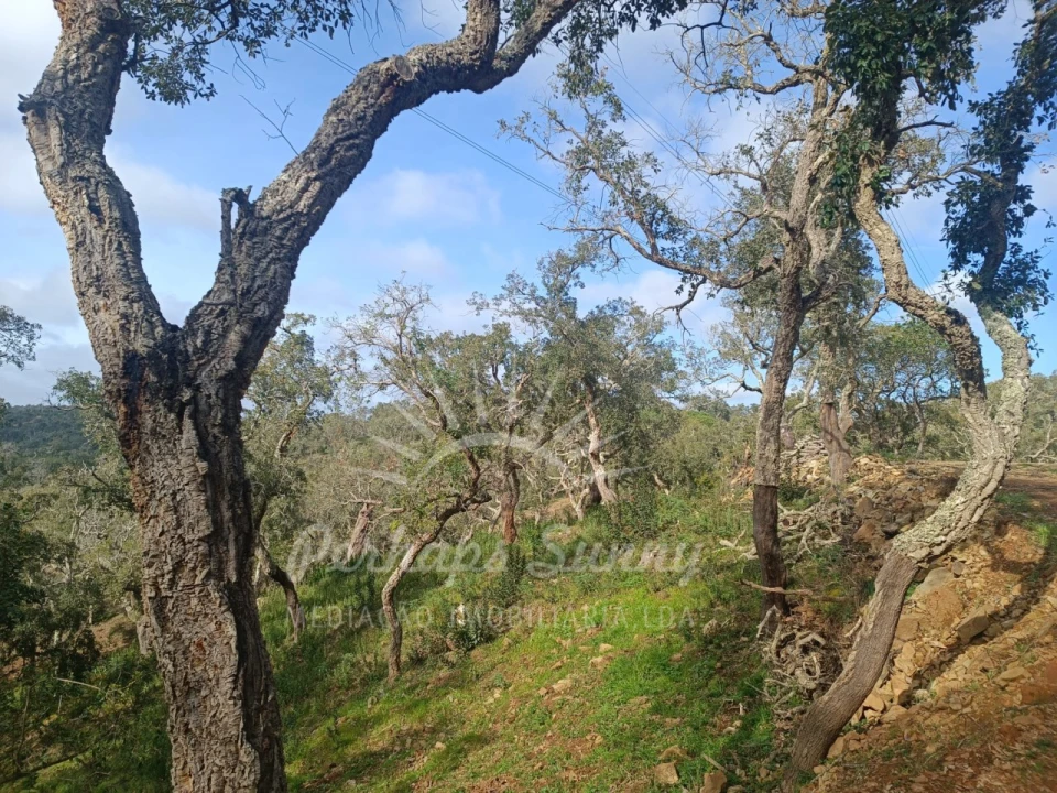 Terreno Agricola ou Rústico para Venda em São Francisco da Serra Foto 1