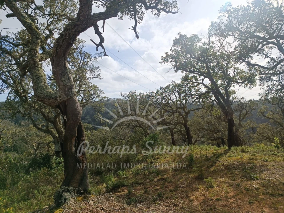 Terreno Agricola ou Rústico para Venda em São Francisco da Serra Foto 2