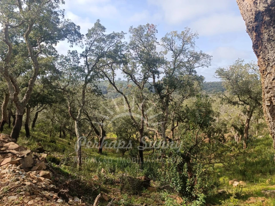 Terreno Agricola ou Rústico para Venda em São Francisco da Serra Foto 3