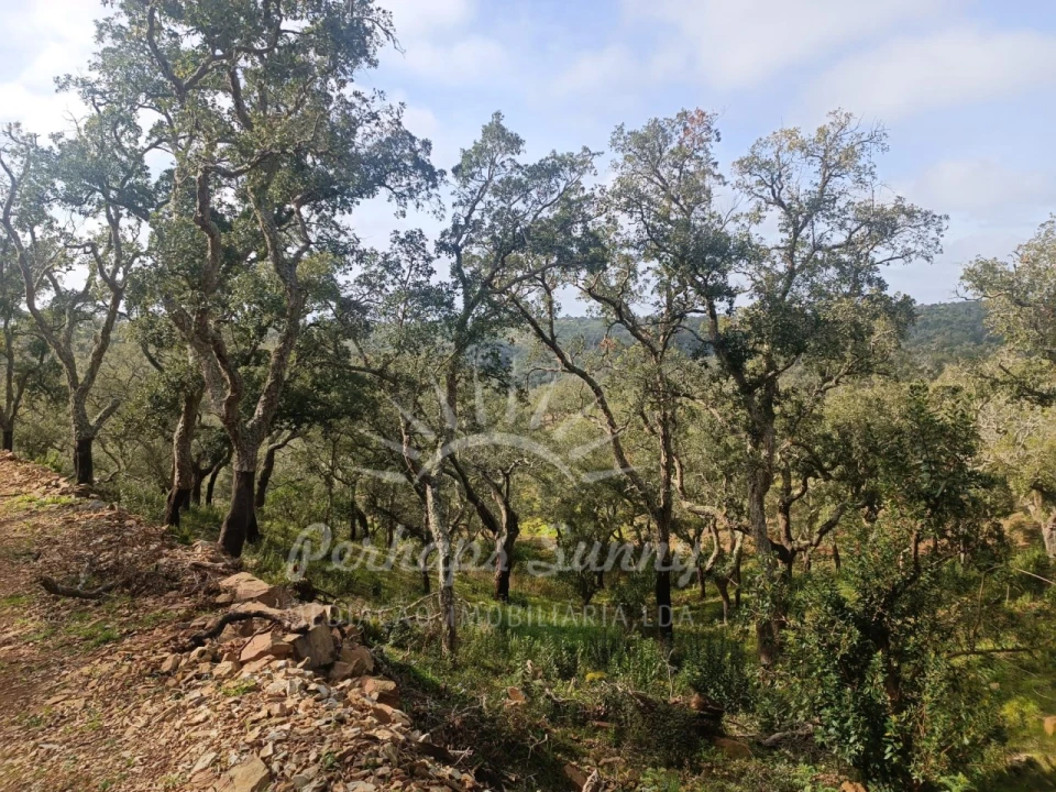 Terreno Agricola ou Rústico para Venda em São Francisco da Serra Foto 6