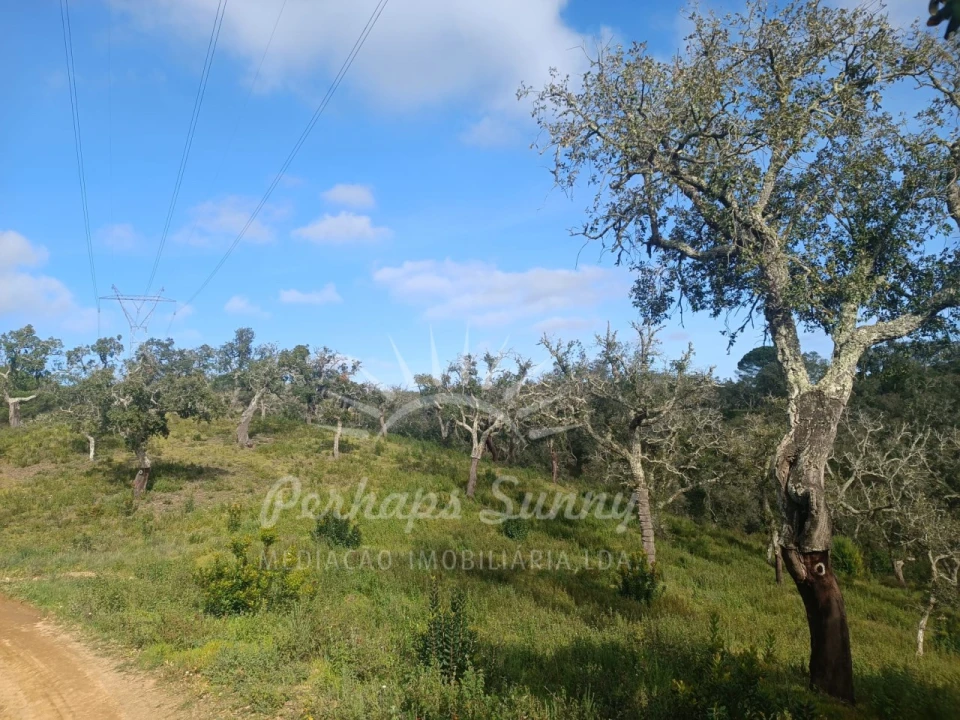 Terreno Agricola ou Rústico para Venda em São Francisco da Serra Foto 10