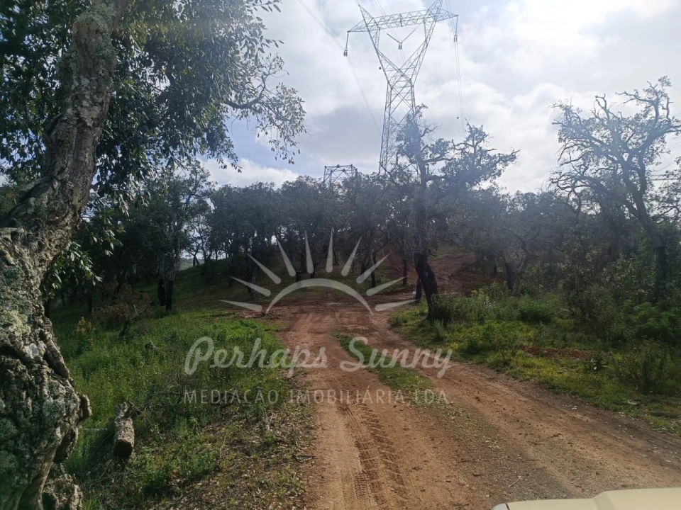 Terreno Agricola ou Rústico para Venda em São Francisco da Serra Foto 11