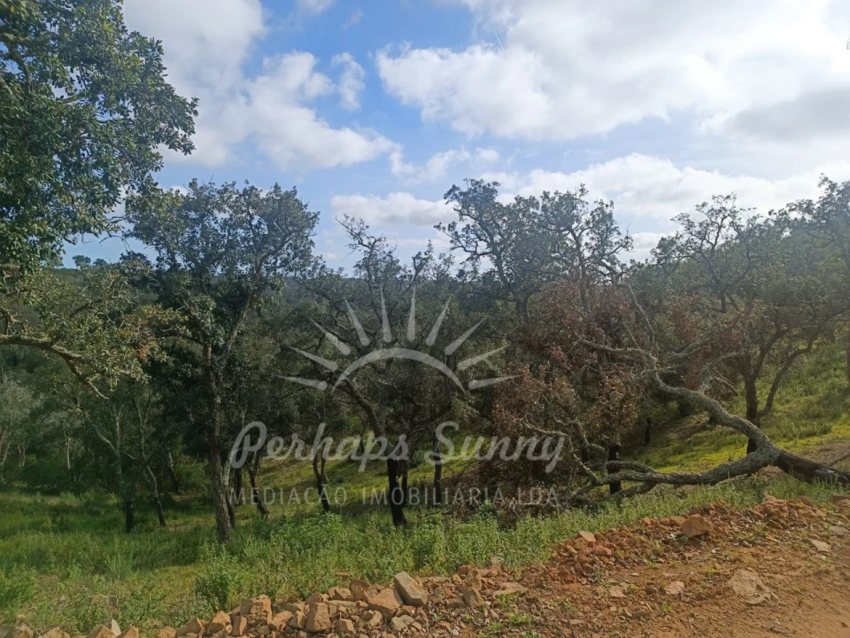 Terreno Agricola ou Rústico para Venda em São Francisco da Serra Foto 13