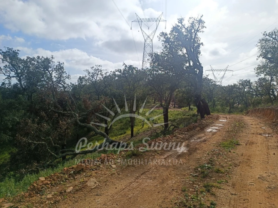Terreno Agricola ou Rústico para Venda em São Francisco da Serra Foto 14