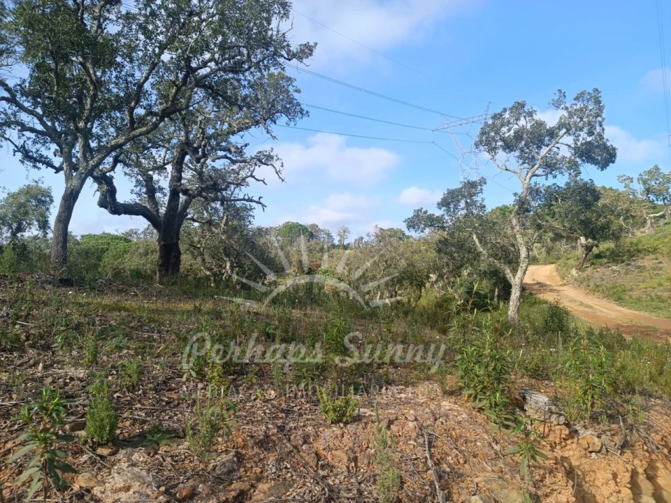 Terreno Agricola ou Rústico para Venda em São Francisco da Serra Foto 15