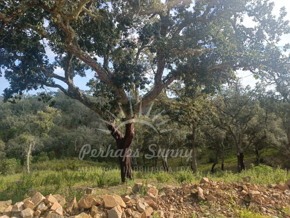 Terreno Agricola ou Rústico para Venda em São Francisco da Serra Foto 18