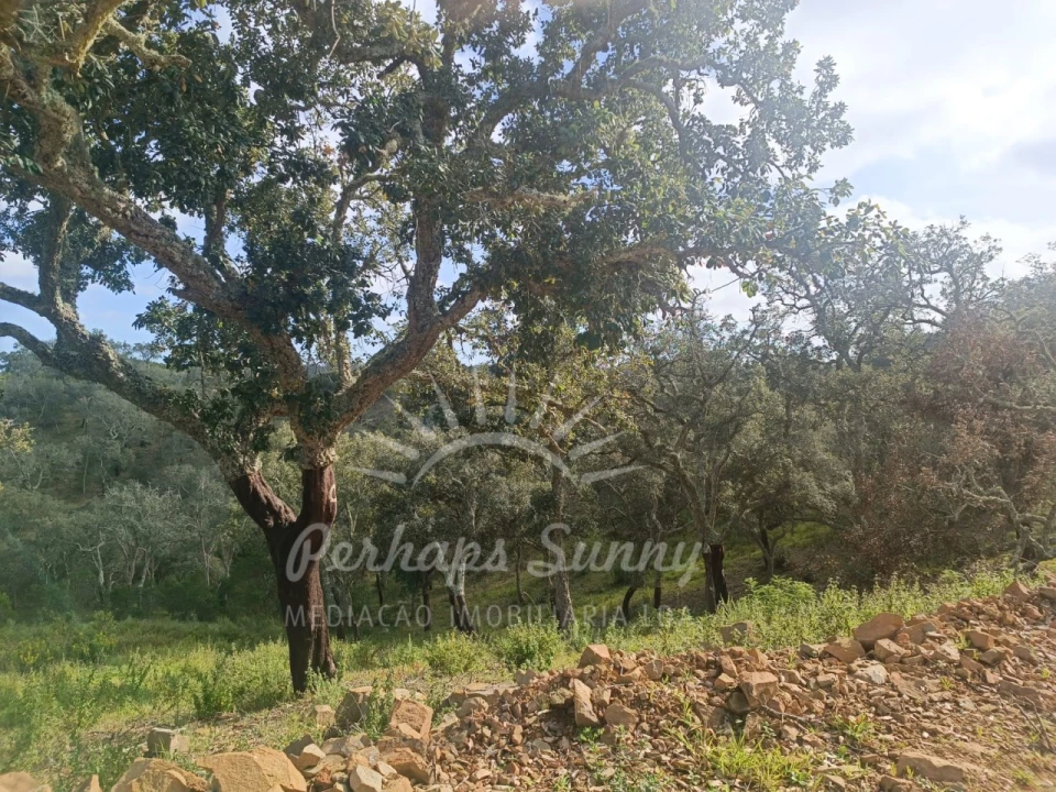 Terreno Agricola ou Rústico para Venda em São Francisco da Serra Foto 24