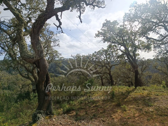 Terreno Agricola ou Rústico para Venda em São Francisco da Serra Foto 2