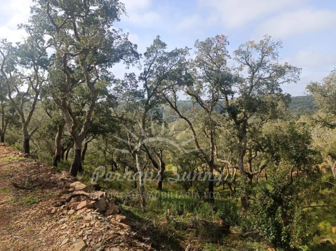 Terreno Agricola ou Rústico para Venda em São Francisco da Serra Foto 6