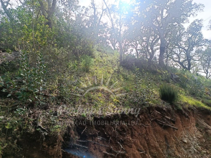 Terreno Agricola ou Rústico para Venda em São Francisco da Serra Foto 8