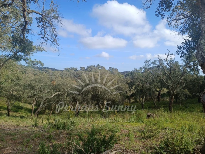 Terreno Agricola ou Rústico para Venda em São Francisco da Serra Foto 9