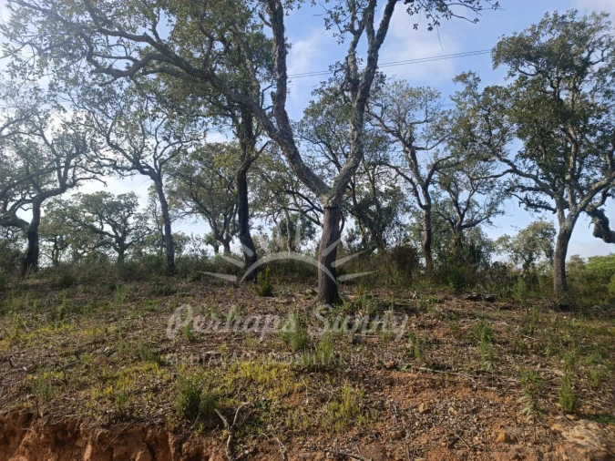 Terreno Agricola ou Rústico para Venda em São Francisco da Serra Foto 16