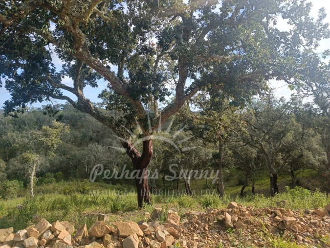 Terreno Agricola ou Rústico para Venda em São Francisco da Serra Foto 18