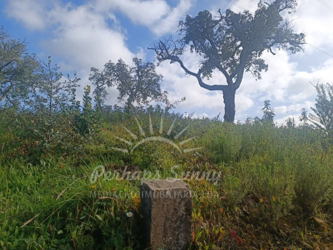 Terreno Agricola ou Rústico para Venda em São Francisco da Serra Foto 19