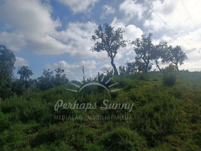 Terreno Agricola ou Rústico para Venda em São Francisco da Serra Foto 20
