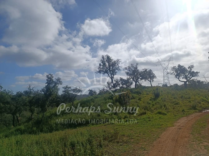 Terreno Agricola ou Rústico para Venda em São Francisco da Serra Foto 21