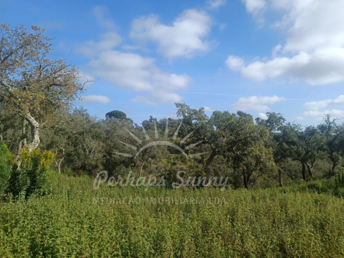 Terreno Agricola ou Rústico para Venda em São Francisco da Serra Foto 23