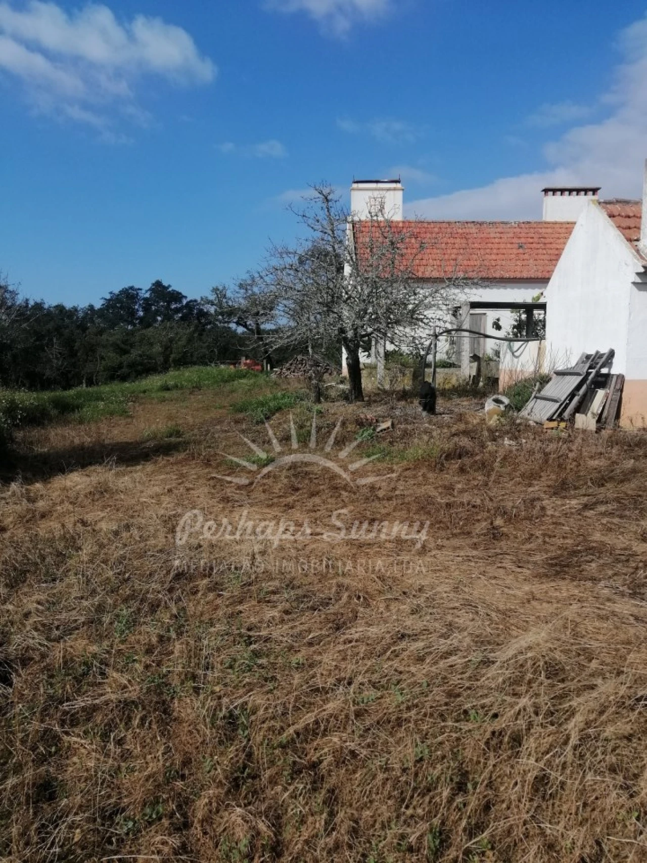 Quinta T1 para Venda em Melides Foto 9