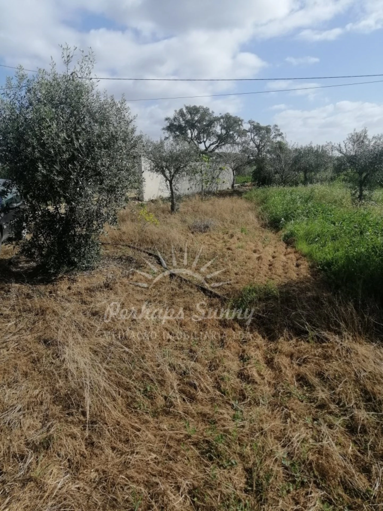 Quinta T1 para Venda em Melides Foto 11