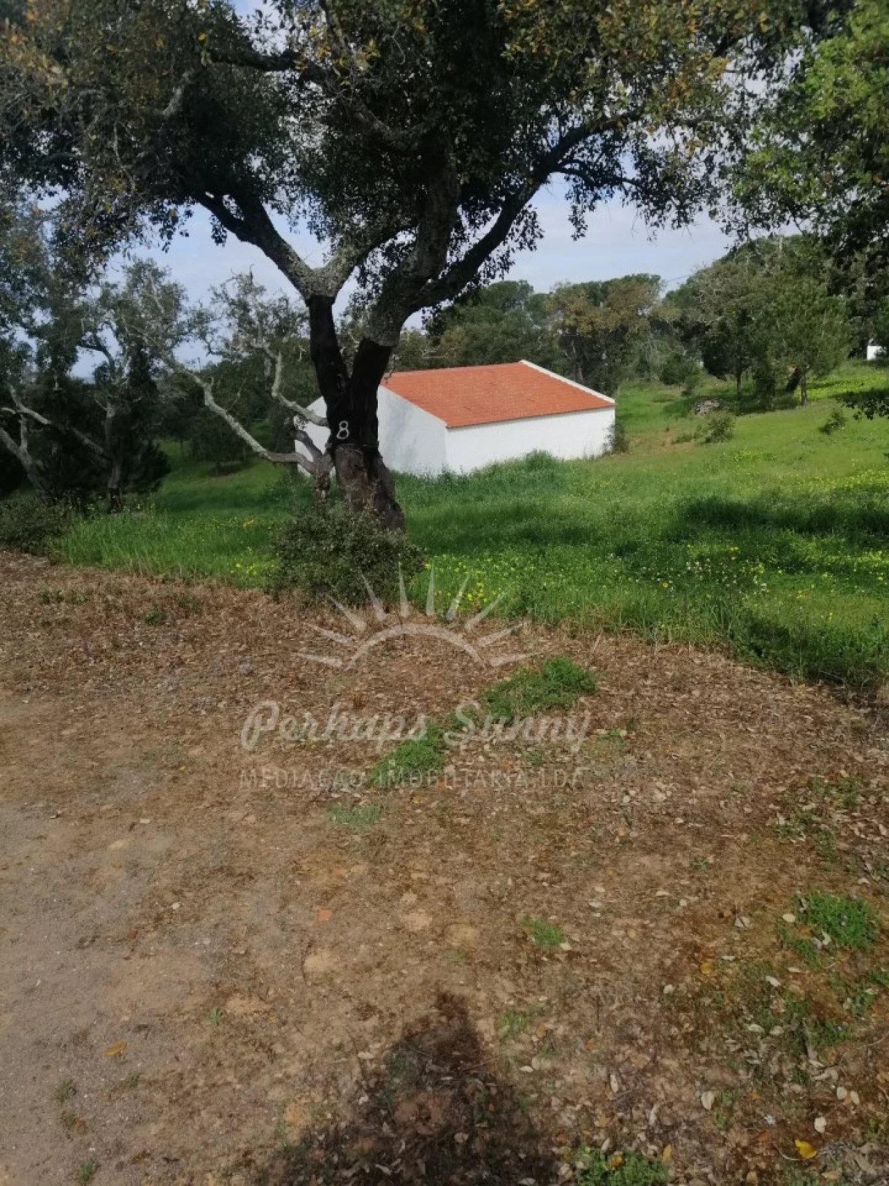 Quinta T1 para Venda em Melides Foto 3