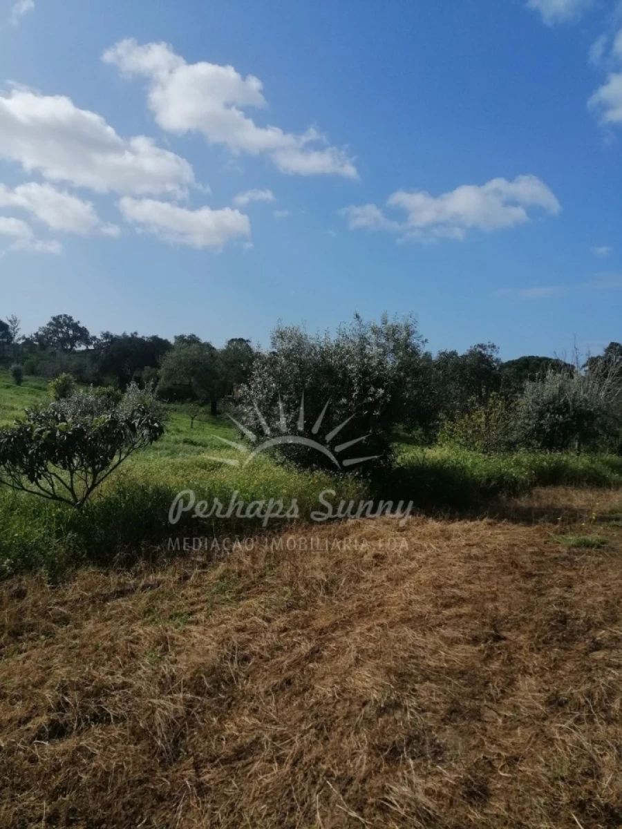 Quinta T1 para Venda em Melides Foto 7