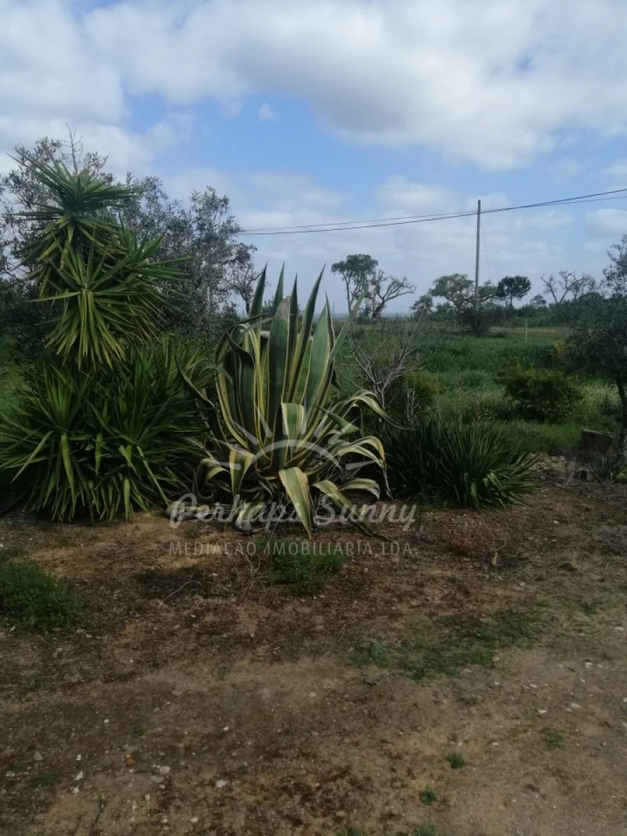 Quinta T1 para Venda em Melides Foto 8