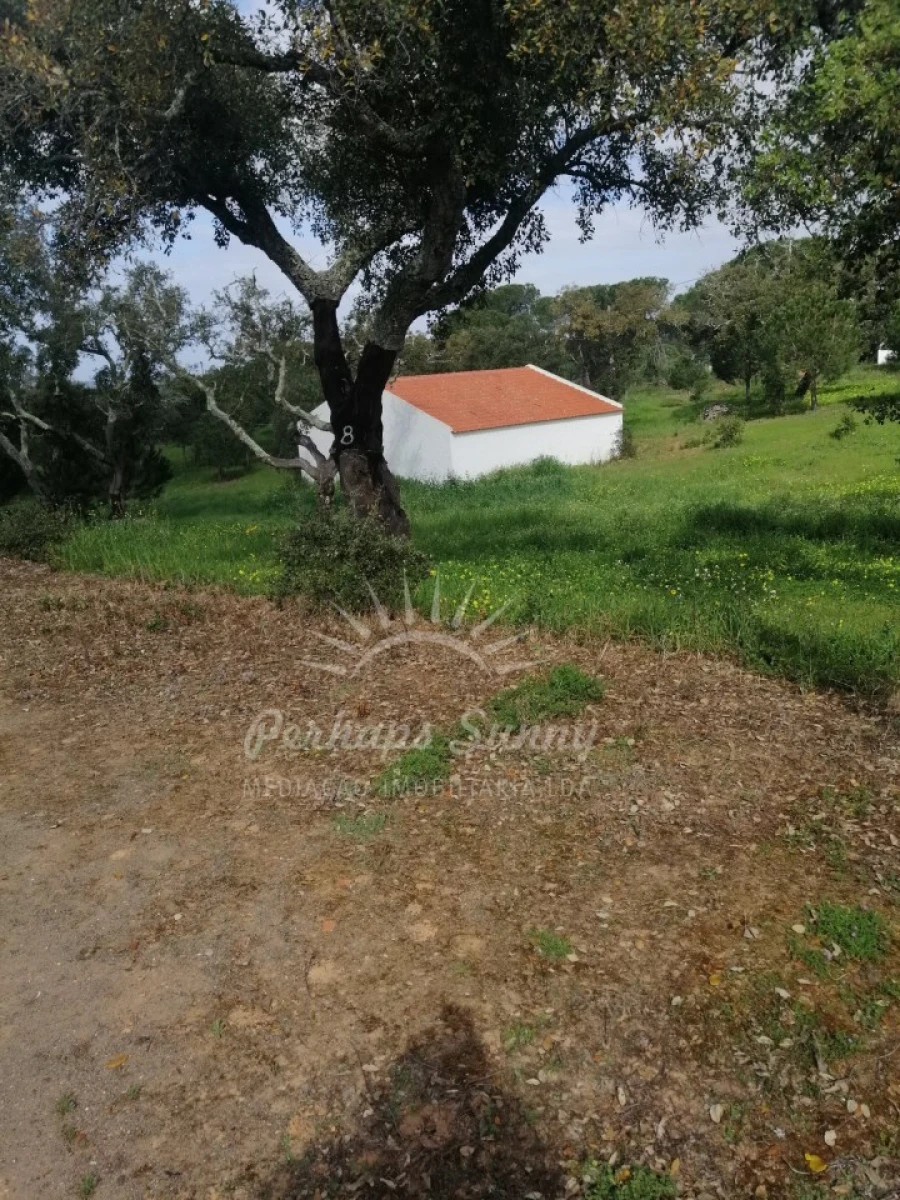 Quinta T1 para Venda em Melides Foto 3