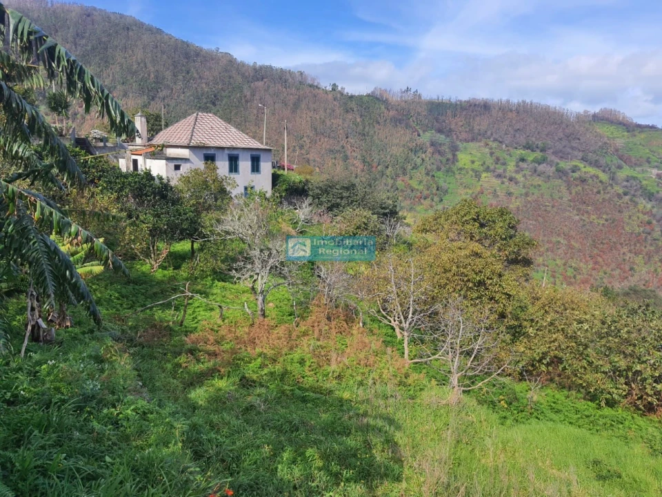 Moradia T4 para Venda em Ribeira da Janela Foto 7