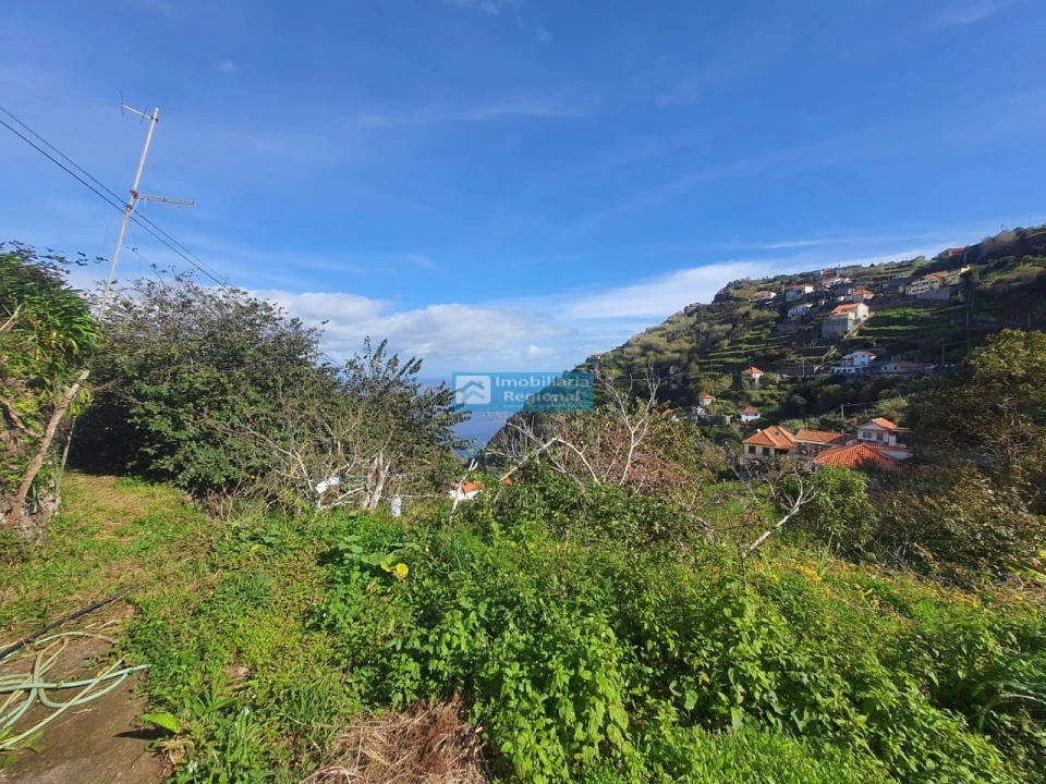 Moradia T4 para Venda em Ribeira da Janela Foto 12