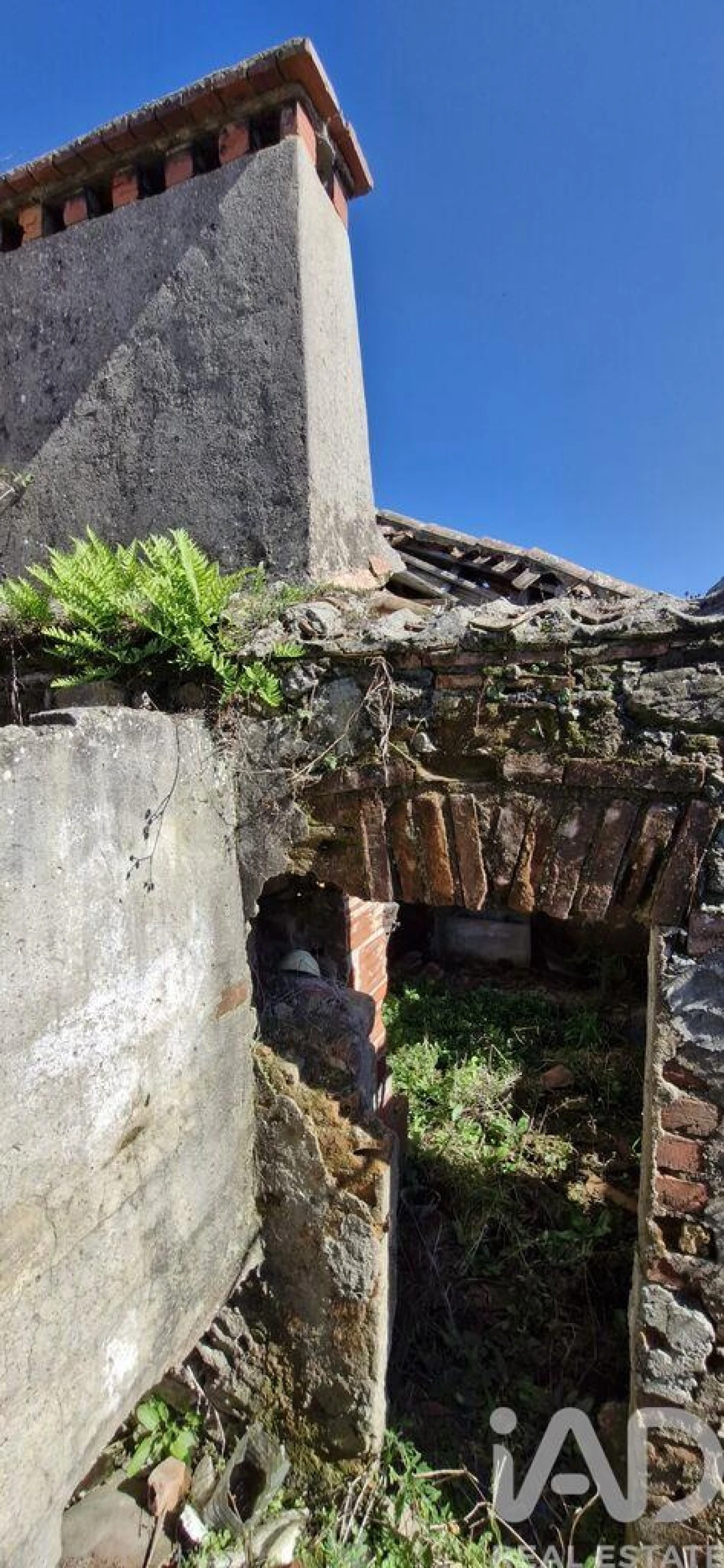 Moradia T1 para Venda em Carvalhal Foto 24