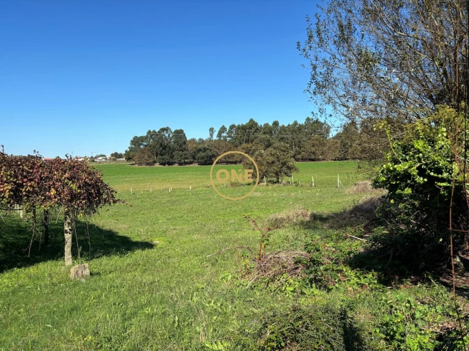 Terreno para Venda em Bairro