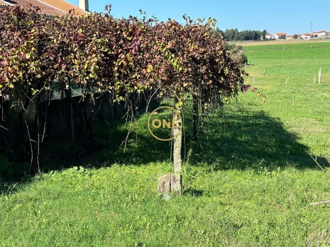 Terreno para Venda em Bairro Foto 4