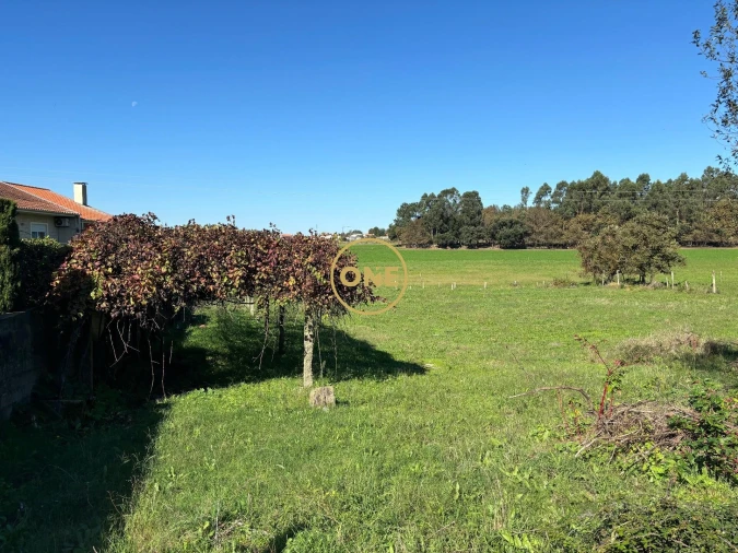 Terreno para Venda em Bairro Foto 8