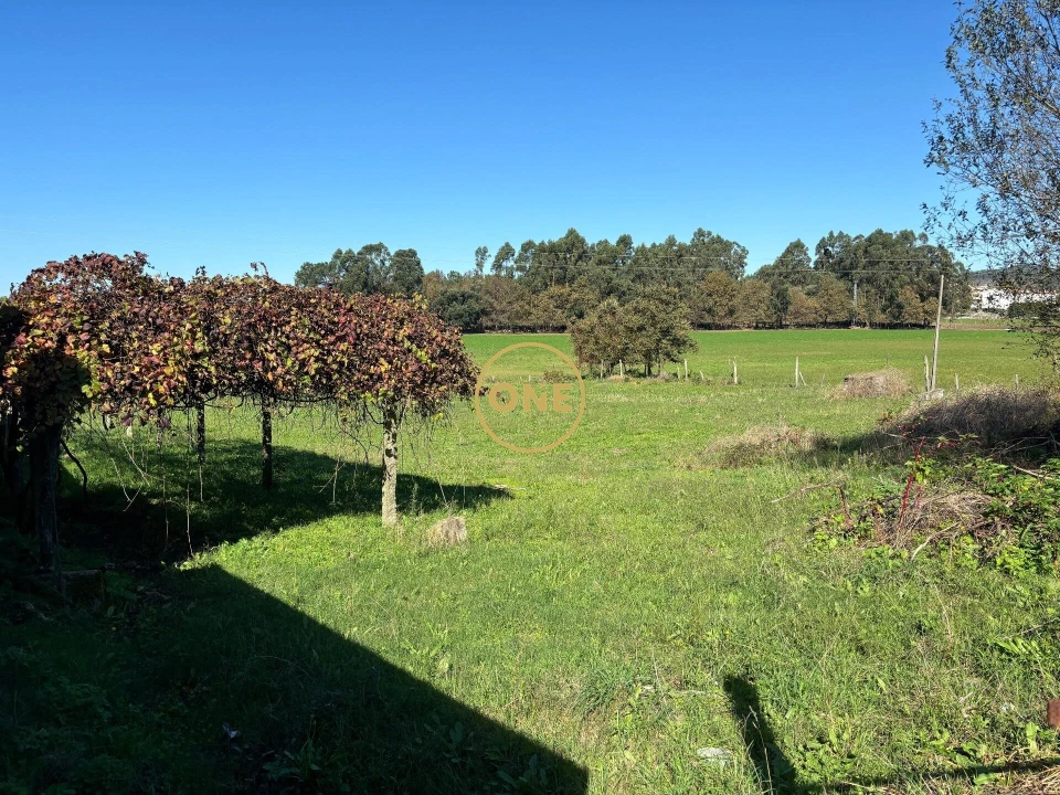 Terreno para Venda em Bairro Foto 7