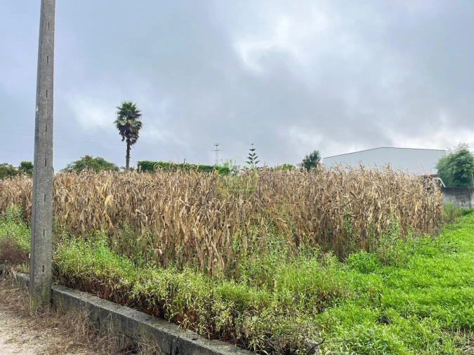 Terreno para Venda em Aver-O-Mar, Amorim e Terroso Foto 16